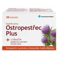 Neuraxpharm Ostropestřec Plus 30 tobolek